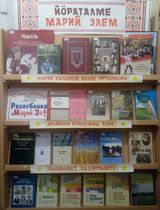 Часовенская библиотека