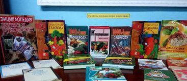 Березниковская библиотека